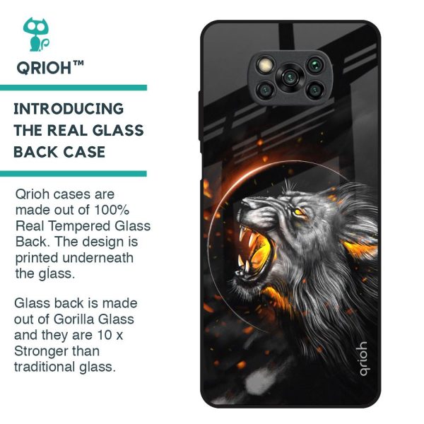 Aggressive Lion Glass Case for Poco X3 Fashion