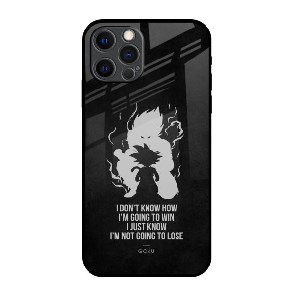 Ace One Piece Glass Case for iPhone 12 Pro Max Online