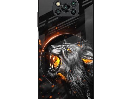 Aggressive Lion Glass Case for Poco X3 Fashion