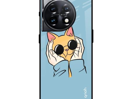 Adorable Cute Kitty Glass Case For OnePlus 11 5G For Sale