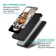 Angry Tiger Glass Case For Samsung Galaxy F14 5G For Cheap