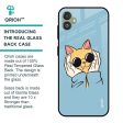 Adorable Cute Kitty Glass Case For Samsung Galaxy F14 5G Fashion