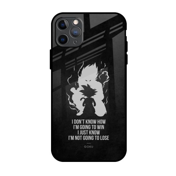 Ace One Piece Glass Case for iPhone 11 Pro Max For Discount